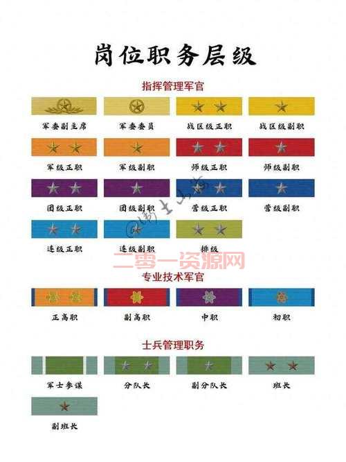 冠军勋章令如何获取和使用？看完这篇你就懂了！