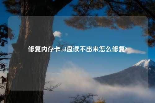 修复内存卡,sd盘读不出来怎么修复?