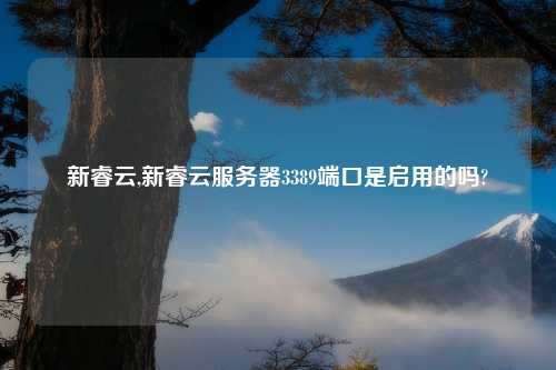新睿云,新睿云服务器3389端口是启用的吗?