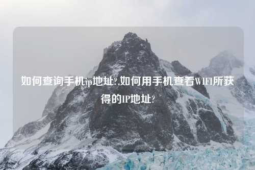 如何查询手机ip地址?,如何用手机查看WIFI所获得的IP地址?