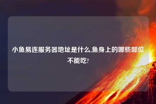 小鱼易连服务器地址是什么,鱼身上的哪些部位不能吃?