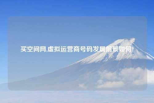 买空间网,虚拟运营商号码发展前景如何?