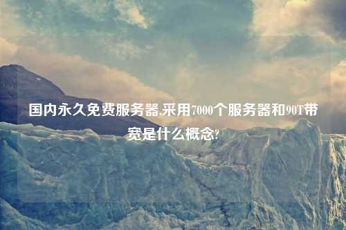 国内永久免费服务器,采用7000个服务器和90T带宽是什么概念?