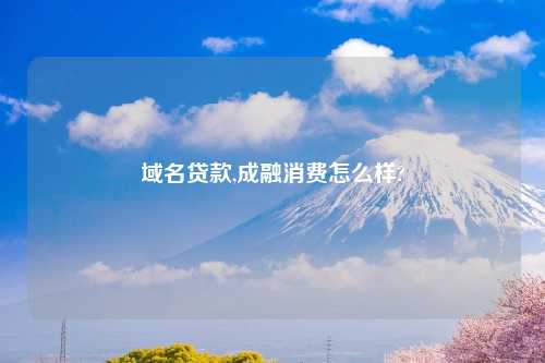 域名贷款,成融消费怎么样?
