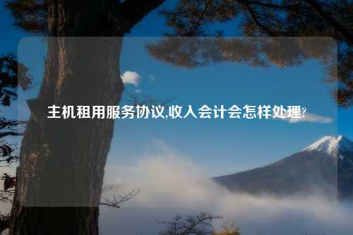 主机租用服务协议,收入会计会怎样处理?
