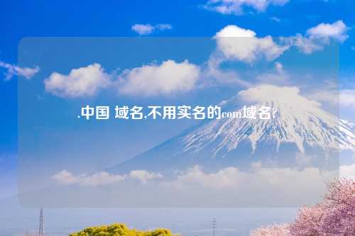 .中国 域名,不用实名的com域名?