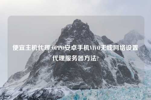 便宜主机代理,OPPO安卓手机VIVO无线网络设置代理服务器方法?