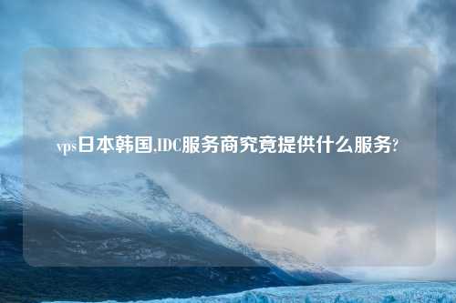 vps日本韩国,IDC服务商究竟提供什么服务?