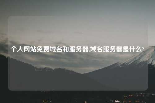 个人网站免费域名和服务器,域名服务器是什么?