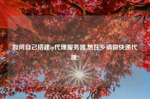 如何自己搭建ip代理服务器,想在乡镇做快递代理?