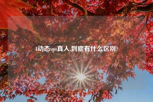 4动态vps真人,到底有什么区别?
