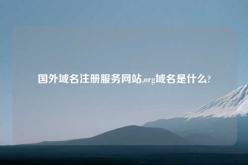 国外域名注册服务网站,org域名是什么?
