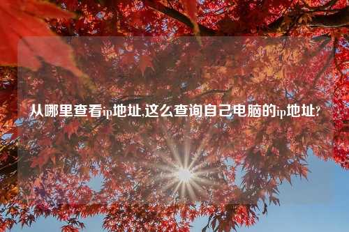 从哪里查看ip地址,这么查询自己电脑的ip地址?