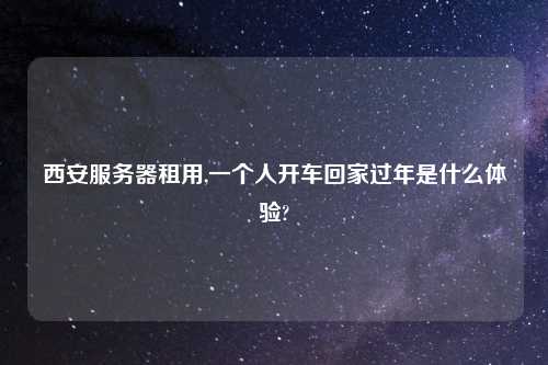 西安服务器租用,一个人开车回家过年是什么体验?