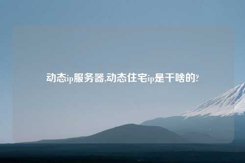 动态ip服务器,动态住宅ip是干啥的?