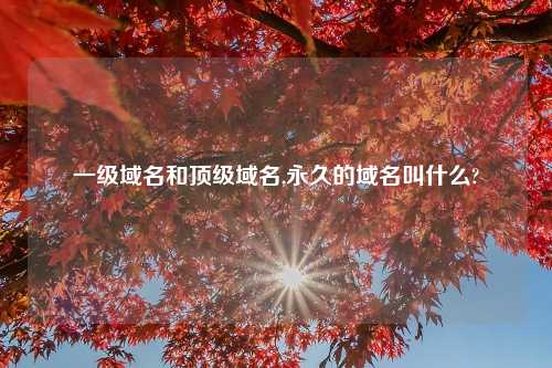 一级域名和顶级域名,永久的域名叫什么?