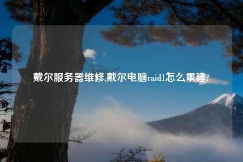 戴尔服务器维修,戴尔电脑raid1怎么重建?