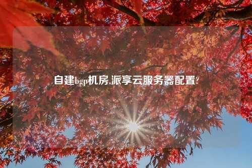 自建bgp机房,派享云服务器配置?