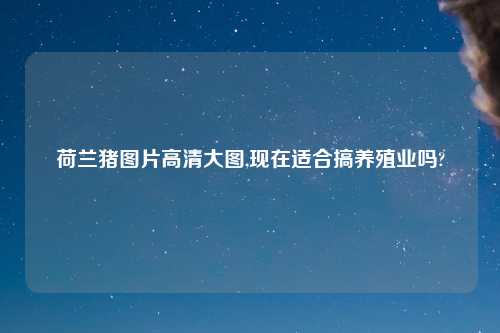 荷兰猪图片高清大图,现在适合搞养殖业吗?