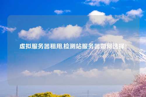 虚拟服务器租用,检测站服务器如何选择?