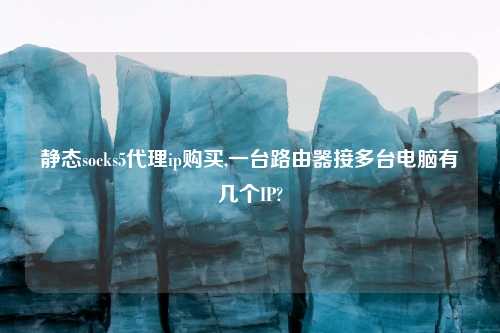 静态socks5代理ip购买,一台路由器接多台电脑有几个IP?