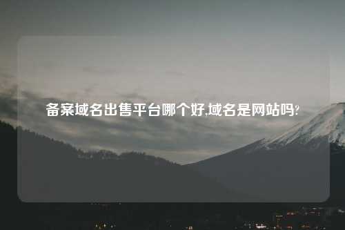 备案域名出售平台哪个好,域名是网站吗?