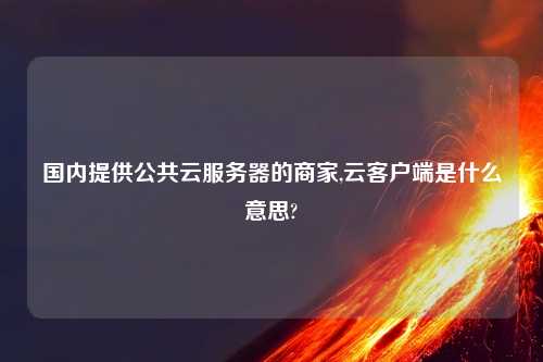 国内提供公共云服务器的商家,云客户端是什么意思?