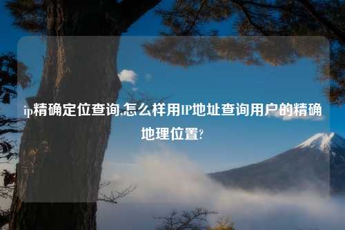 ip精确定位查询,怎么样用IP地址查询用户的精确地理位置?