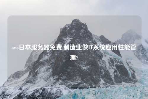 aws日本服务器免费,制造业做IT系统应用性能管理?