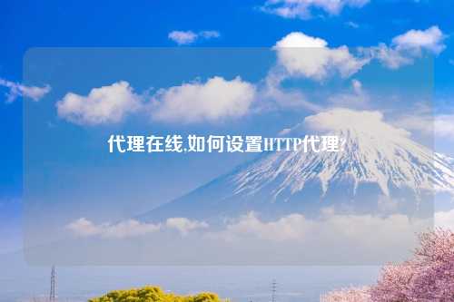 代理在线,如何设置HTTP代理?