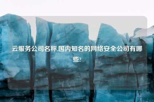 云服务公司名称,国内知名的网络安全公司有哪些?