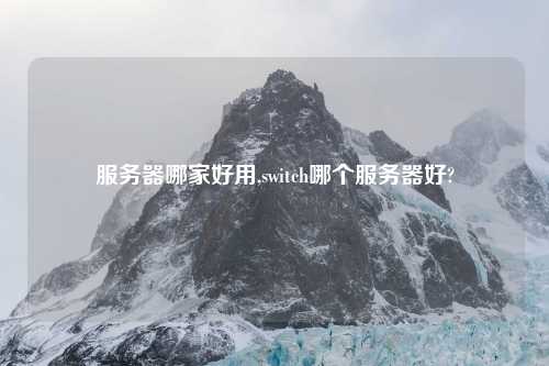 服务器哪家好用,switch哪个服务器好?
