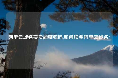 阿里云域名买卖能赚钱吗,如何续费阿里云域名?