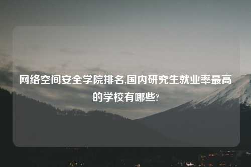 网络空间安全学院排名,国内研究生就业率最高的学校有哪些?