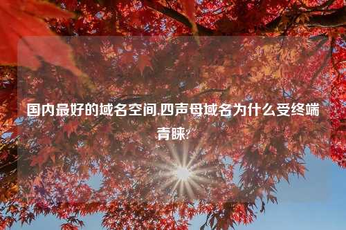 国内最好的域名空间,四声母域名为什么受终端青睐?