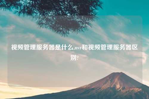 视频管理服务器是什么,nvr和视频管理服务器区别?