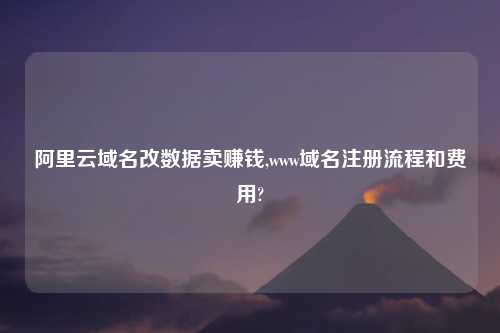阿里云域名改数据卖赚钱,www域名注册流程和费用?