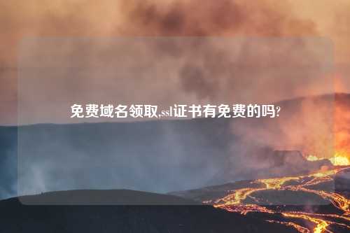 免费域名领取,ssl证书有免费的吗?