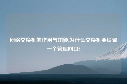 网络交换机的作用与功能,为什么交换机要设置一个管理网口?