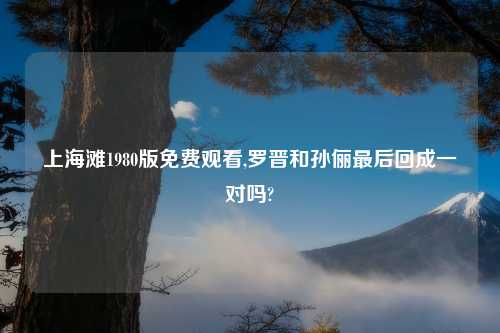 上海滩1980版免费观看,罗晋和孙俪最后回成一对吗?