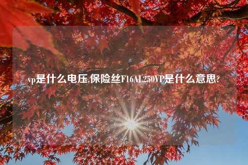 vp是什么电压,保险丝F16AL250VP是什么意思?