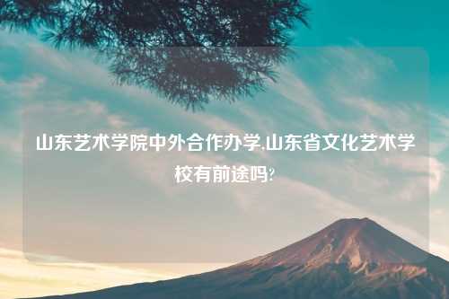 山东艺术学院中外合作办学,山东省文化艺术学校有前途吗?