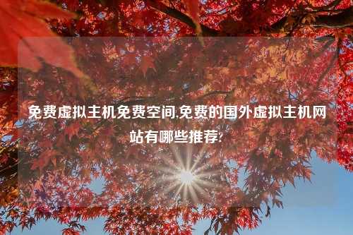免费虚拟主机免费空间,免费的国外虚拟主机网站有哪些推荐?