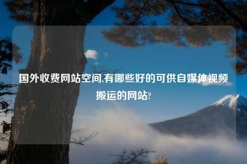 国外收费网站空间,有哪些好的可供自媒体视频搬运的网站?