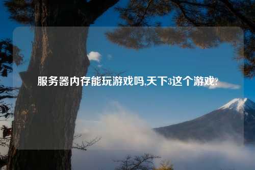 服务器内存能玩游戏吗,天下3这个游戏?