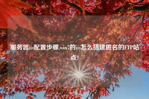 服务器iis配置步骤,win7的iis怎么搭建匿名的FTP站点?