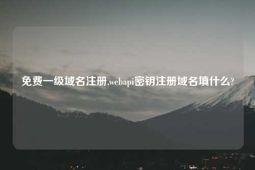 免费一级域名注册,webapi密钥注册域名填什么?