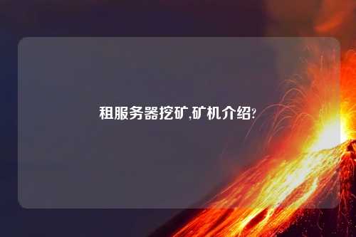 租服务器挖矿,矿机介绍?