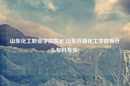 山东化工职业学院院长,山东石油化工学院有什么专科专业?