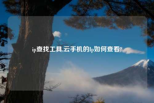 ip查找工具,云手机的Ip如何查看?